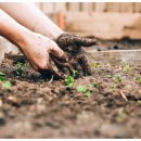 원예기능사 이미지