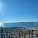 튼실이네전복 이미지