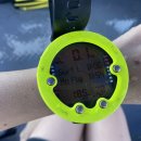 와곡 | 스킨 스쿠버다이빙 거북이 만난 후기 (코타키나발루 오픈워터 자격증 종류)