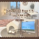 멍멍친구 애견샵 | 인천 강화도 애견동반 감성 신상 펜션 추천 강화 멍멍포레스트 애견펜션 내돈내산