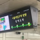 박사농장 | 농장(농땡이 장인이라는 뜻)의 농땡이 일기~