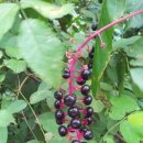 옥골농장 이미지