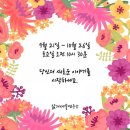 선아로마테라피