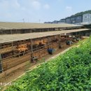 신대곶약국 이미지