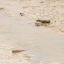 사도경로당 이미지