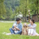 반려동물 펫시터 자격증 과정 이미지