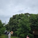 예스카월드 이미지