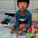 해나라4호 이미지