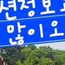 나무그늘의 작은집 작은세상 이미지