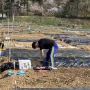 미르네농장 이미지