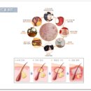 더바이오메틱스