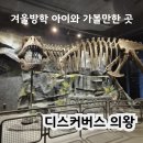 모두와 하루(무장애 여행) | [엄마표 무장애 여행 37] 겨울방학 아이와 가볼만한 실내 놀이터, 디스커버스 의왕