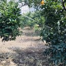 순희농장 이미지