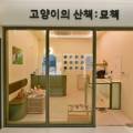 고양이의 산책:묘책 이미지