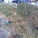 자인파출소 이미지