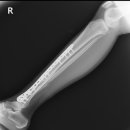 매듭병원 이미지