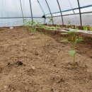 태환농장 이미지