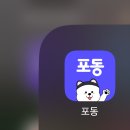 놀멍 | 반려견 운동장 대여 장소대여 추천 포동 멍래블 &#39;놀멍오개&#39; 이용 후기