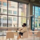 오정연 카카오 검색결과