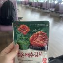 다이서요 | 인천-독일 프랑크푸르트 루푸트한자 항공 기내식 탑승 후기👀😄