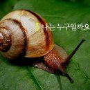와우미디어 이미지