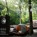 단양뜰민박 | [캠핑] 단양 황정산 자연휴양림 [2015.6.20~21] - 부자캠핑 = 아내의 휴가