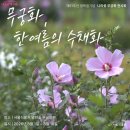 SP-5316 내손안에서울
