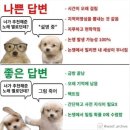 여시에도 만삣삐&amp;기가차드 수입해야 한다고 생각하는 달글 이미지