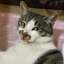 안성치킨호프 이미지