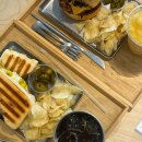 도그파파안 이미지