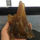 코팔(COPAL)