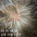 [모다모다] 염색약 없이도 염색효과가 있는 샴푸가 있다? 그건 모다? ＞＞모다모다 프로 체인지 다크닝 샴푸!＜＜ 이미지