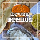 천안역지하도상가 | [천안/대흥동] 천안역 로컬맛집 인도커리 전문점 마운틴피시텔 레스토랑