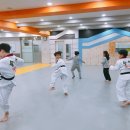 솔빛태권스쿨 이미지