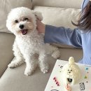 온카페 이미지