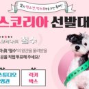 오늘의멍냥