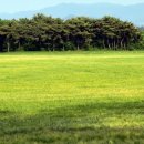 북촌농장 이미지