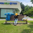 대전 여행 (20240704~05)