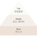 오디크 이미지