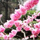 수성구민운동장 이미지