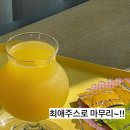 포케 맛집 슬로우캘리 인정~!