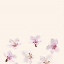 트레이닝 메이트 이미지