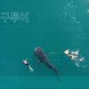 명선헬스 이미지