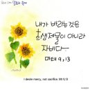 금주교