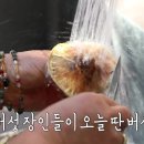 송이푸드 - 문경시 여중1길 29 | 송이푸드
