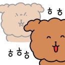 스완흑염소 이미지