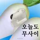 10월 2주
