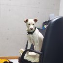 성빈한의원 이미지