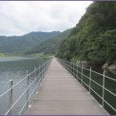 강원산소 이미지