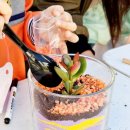 울산초등학교병설유치원 이미지